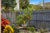 1/29 Noble Street, Clayfield, Qld 4011-Image