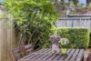 1/4 Tyrone Avenue, Forestville, NSW 2087-Image