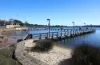 103B Waddell Road, Bicton, WA 6157-Image