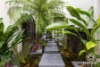 13/87 Toolga Street, Mount Coolum, Qld 4573-Image