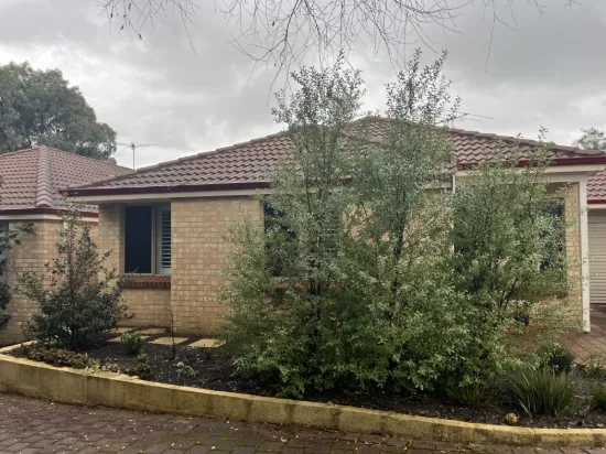 13B Selina Street, Innaloo, WA 6018