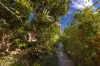 14/11 Payne Street, Narooma, NSW 2546-Image