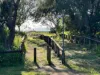 18/7 Griffin Avenue, Bucasia, Qld 4750-Image