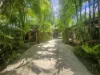 18 East Street, Bloomfield, Qld 4895