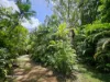 18 East Street, Bloomfield, Qld 4895-Image