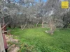 2/1 Pitt Street, Woodbridge, WA 6056-Image