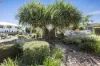 2/115 Peregian Springs Drive, Peregian Springs, Qld 4573-Image