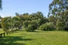 2/13 Langley Crescent, Innaloo, WA 6018-Image