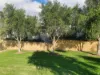 2/3 Firbank Road, Beeliar, WA 6164-Image
