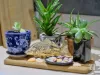 2/7 Short Street, Joondanna, WA 6060-Image