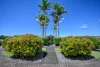 207/6 Fantail Place, Wurtulla, Qld 4575-Image