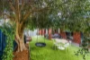 3/42 Walkington Way, Eden Hill, WA 6054-Image
