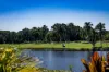 33/117 Palm Meadows Drive, Carrara, Qld 4211-Image