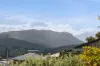 376 Argyle Drive, Kingston, Tas 7050-Image