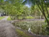 41a Deans Road, Boambee, NSW 2450-Image