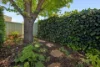 5/10 Waterloo Street, Joondanna, WA 6060-Image