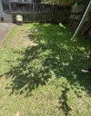 5/47 Woodvale Avenue, North Epping, NSW 2121-Image