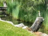 52/20 Garrad Way, Lake Conjola, NSW 2539-Image