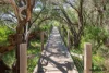520/42 Bunker Bay Road, Naturaliste, WA 6281-Image