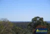 5A Palmer Close, Illawong, NSW 2234-Image