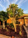 6/152 Waterloo Street, Tuart Hill, WA 6060-Image