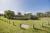 6/26 Earlsferry Green, Kinross, WA 6028-Image