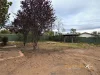 6 Mulley Street, Holder, ACT 2611-Image