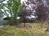 6 Mulley Street, Holder, ACT 2611-Image