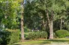 7/13-15 Augusta Place, Mollymook Beach, NSW 2539-Image