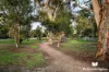 7/20 Schofield Street, Essendon, Vic 3040-Image