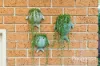 8/109-111 Hammers Road, Northmead, NSW 2152-Image