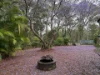 Address available on request, Bellbowrie, Qld 4070