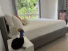 Duplex 2/20 Seaview St, Mission Beach, Qld 4852-Image
