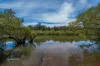 Site 20/539 Pacific Highway, Boambee, NSW 2450-Image