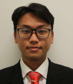 Vincent Nguyen - Real Estate Agent