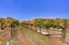 150 Ropers Road, Cardross VIC 3496-Image