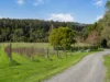 20 Cottmans Road, Fish Creek VIC 3959-Image