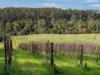20 Cottmans Road, Fish Creek VIC 3959-Image
