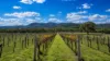 695 Bents Road, Ballandean QLD 4382-Image