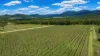 695 Bents Road, Ballandean QLD 4382-Image