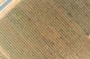 Lot 1 Morgan Road, Barmera SA 5345-Image