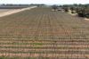 Lot 1 Morgan Road, Barmera SA 5345-Image