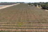 Lot 1 Morgan Road, Barmera SA 5345-Image