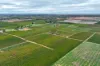 Lot 15 Rattey Road, Loxton SA 5333-Image