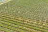 Lot 15 Rattey Road, Loxton SA 5333-Image