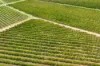 Lot 15 Rattey Road, Loxton SA 5333-Image