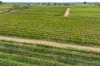 Lot 15 Rattey Road, Loxton SA 5333-Image