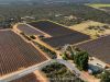 Section 862 Swinstead Road, Loveday SA 5345-Image