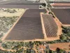 Section 862 Swinstead Road, Loveday SA 5345-Image