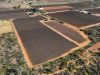 Section 862 Swinstead Road, Loveday SA 5345-Image